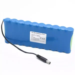 Batterie de remplacement pour HOMETEK 2