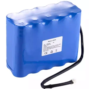 Batterie de remplacement pour Cadnica 20KR-CH