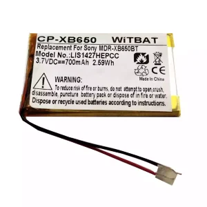 Batterie pour casque Sony MDR-XB650BT,DR-BTN200,MDR-XB950BT,MDR-XB950B1,WH-XB700,MDR-ZX330BT,MDR-ZX550BN,MDR-RF985R