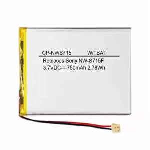 Batterie pour Sony Walkman NWZ-S600,NWZ-S600F,NWZ-S610,NWZ-S615,NWZ-S615F,NWZ-S616,NWZ-S616F,NWZ-S618