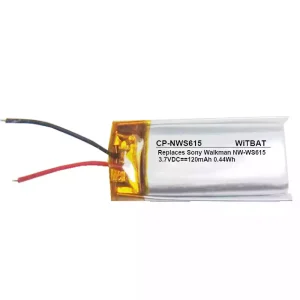 Batterie pour SONY Walkman NW-WS613 NW-WS615
